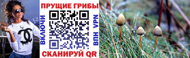 Галлюциногенные грибы ЛСД  MEGA ONION  Чишмы 